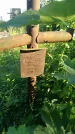Захоронение ID 194735
