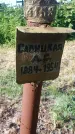 Захоронение ID 194767
