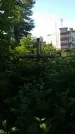 Захоронение ID 194792