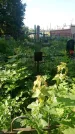 Захоронение ID 194863