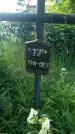 Захоронение ID 194869