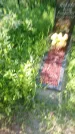 Захоронение ID 194873
