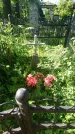 Захоронение ID 194876