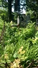 Захоронение ID 194878