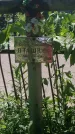 Захоронение ID 194914