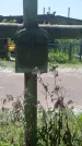 Захоронение ID 194915
