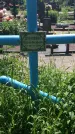 Захоронение ID 195084