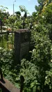 Захоронение ID 195055