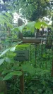 Захоронение ID 195092