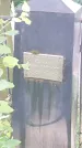 Захоронение ID 195109