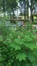 Захоронение ID 195114