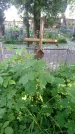 Захоронение ID 195117