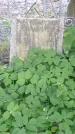 Захоронение ID 195122
