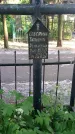 Захоронение ID 195127