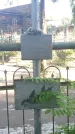 Захоронение ID 195133