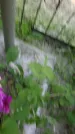 Захоронение ID 195152
