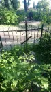 Захоронение ID 195160