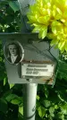 Захоронение ID 195177