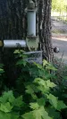 Захоронение ID 195210