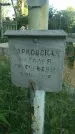 Захоронение ID 195211