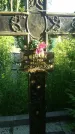 Захоронение ID 195240