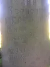 Захоронение ID 193087
