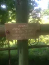 Захоронение ID 193094