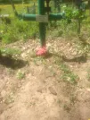 Захоронение ID 193126