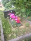 Захоронение ID 193658