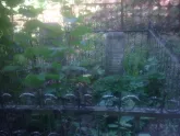 Захоронение ID 193668