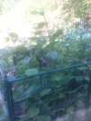 Захоронение ID 193670