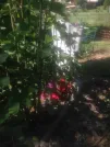 Захоронение ID 193671