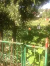Захоронение ID 193673