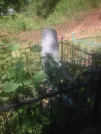 Захоронение ID 193675