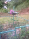 Захоронение ID 193676