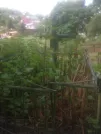 Захоронение ID 193683