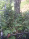 Захоронение ID 193685
