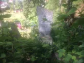 Захоронение ID 193693