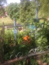 Захоронение ID 193695
