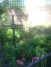 Захоронение ID 193703