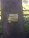 Захоронение ID 193084