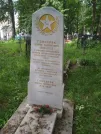 Захоронение ID 195494