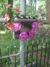 Захоронение ID 195536