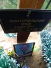 Захоронение ID 195896