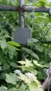 Захоронение ID 195356