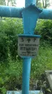 Захоронение ID 195363