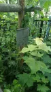 Захоронение ID 195368