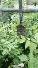 Захоронение ID 195371