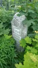 Захоронение ID 195379