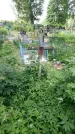 Захоронение ID 195386